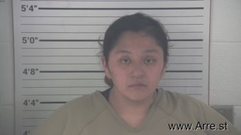 Elizabeth  Hernandez Mugshot