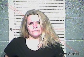 Elizabeth Ashley Miller Mugshot