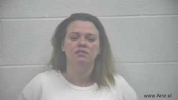 Elizabeth Renee Sanders Mugshot