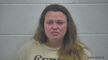 Elizabeth Renee Sanders Mugshot