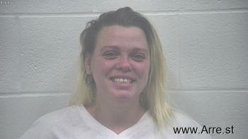 Elizabeth Renee Sanders Mugshot