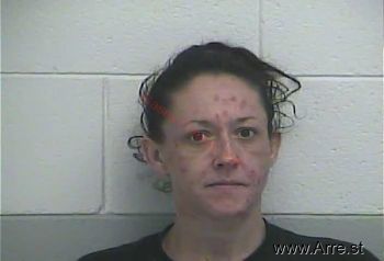 Elizabeth Sue Sandlin Mugshot