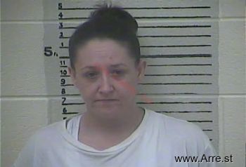 Elizabeth  Sandlin Mugshot