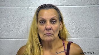 Elizabeth Ann Turner Mugshot