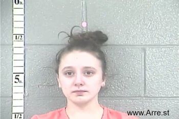 Emily Danielle Collins Mugshot