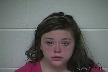 Emily Ann Cook Mugshot