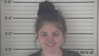 Emily Taylor Kramer Mugshot