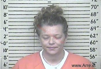 Erica  Adkins Mugshot