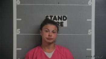 Erica M Burrell Mugshot