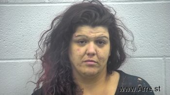 Erica Marie Chandler Mugshot