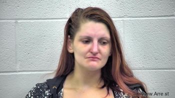 Erica Jo Holcombe Mugshot