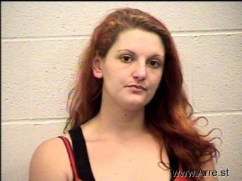 Erica Jo Holcombe Mugshot