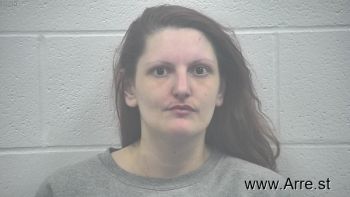 Erica Jo Holcombe Mugshot