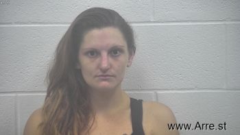 Erica Jo Holcombe Mugshot