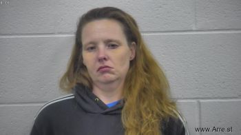 Erica Ann Houston Mugshot