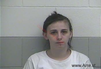 Erica Ellen Jenkins Mugshot