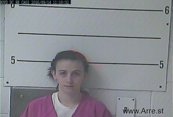 Erica Ellen Jenkins Mugshot