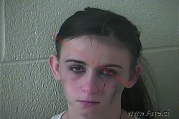 Erica Ellen Jenkins Mugshot