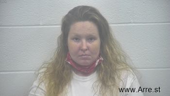 Erica Ann Mays Mugshot