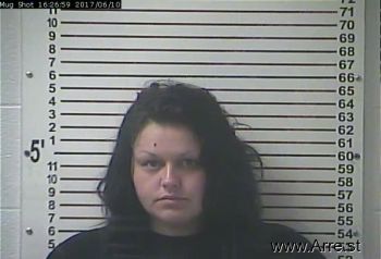 Erica Jane Snyder Mugshot