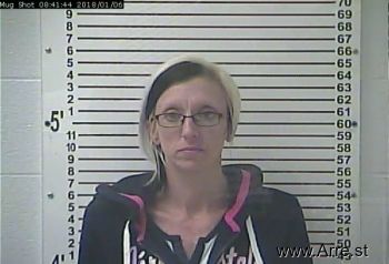 Erica Lynn Willis Mugshot