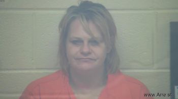 Erika Louise Jenkins Mugshot