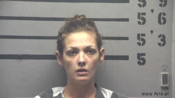 Erika Nicole Owens Mugshot