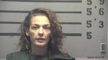 Erika Nicole Owens Mugshot