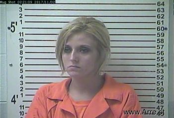 Erin Gwen Blandford Mugshot