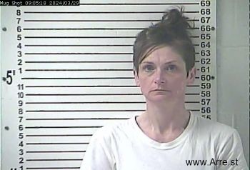 Erin Christine Carver Mugshot