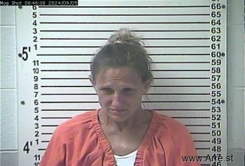 Erin Michelle Emory Mugshot