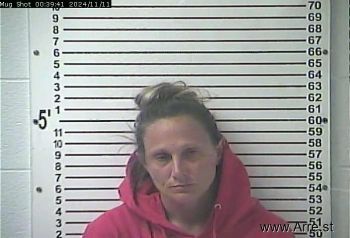 Erin Michelle Emory Mugshot