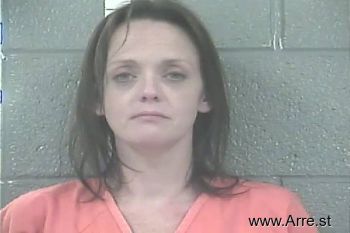 Erin Angela Goodman Mugshot