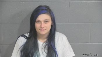 Erin Elizabeth Price Mugshot