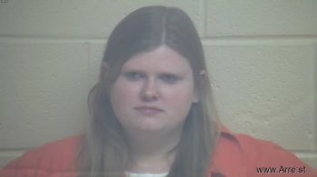 Erin Renee Williams Mugshot