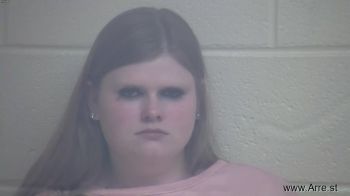 Erin Renee Williams Mugshot