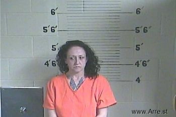 Elizabeth  Sandlin Mugshot