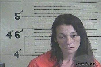 Elizabeth A Williams Mugshot