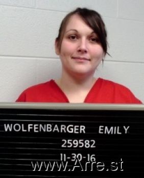 Emily  Wolfenbarger Mugshot