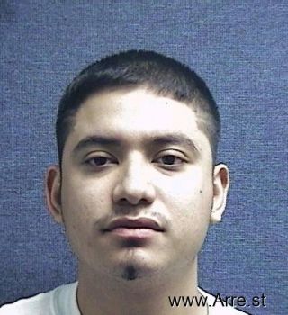 Fernando  Flores Gonzales Mugshot