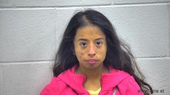 Gabriela Marie Sanchez Mugshot