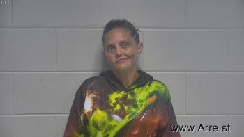 Gillian Lynn Wehrle Mugshot