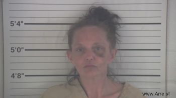 Gillian Lynn Wehrle Mugshot