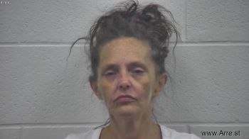 Gillian Lynn Wehrle Mugshot