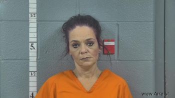 Gina  Clark Mugshot