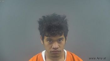 Gino Nmn Pluhs Mugshot