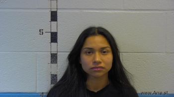 Guadalupe Nmn Mendoza Mugshot