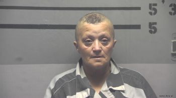 Gina  Harper Mugshot