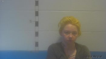 Hannah Nicole Farmer Mugshot