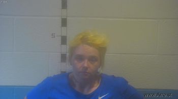 Hannah Nicole Farmer Mugshot